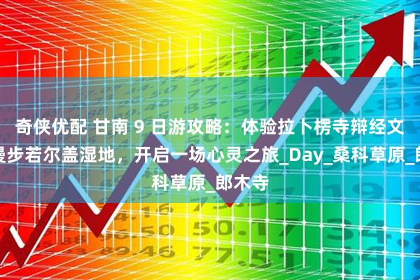 奇侠优配 甘南 9 日游攻略：体验拉卜楞寺辩经文化，漫步若尔盖湿地，开启一场心灵之旅_Day_桑科草原_郎木寺